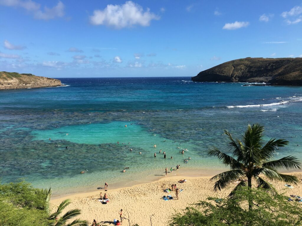 Birds eye view of swimmers at Hanauma Bay, Hawaii Kai. Blue water, reef and showing the bay opening up to the deep blue ocean